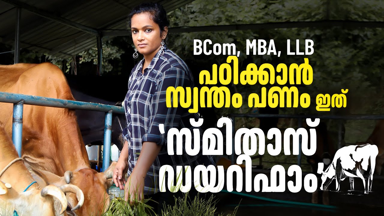 പശുവളര്‍ത്തലും LLB പഠനവും; സമരമാണ് സ്മിതയുടെ ജീവിതം | Smitha Dairy Farm | Mathrubhumi.com