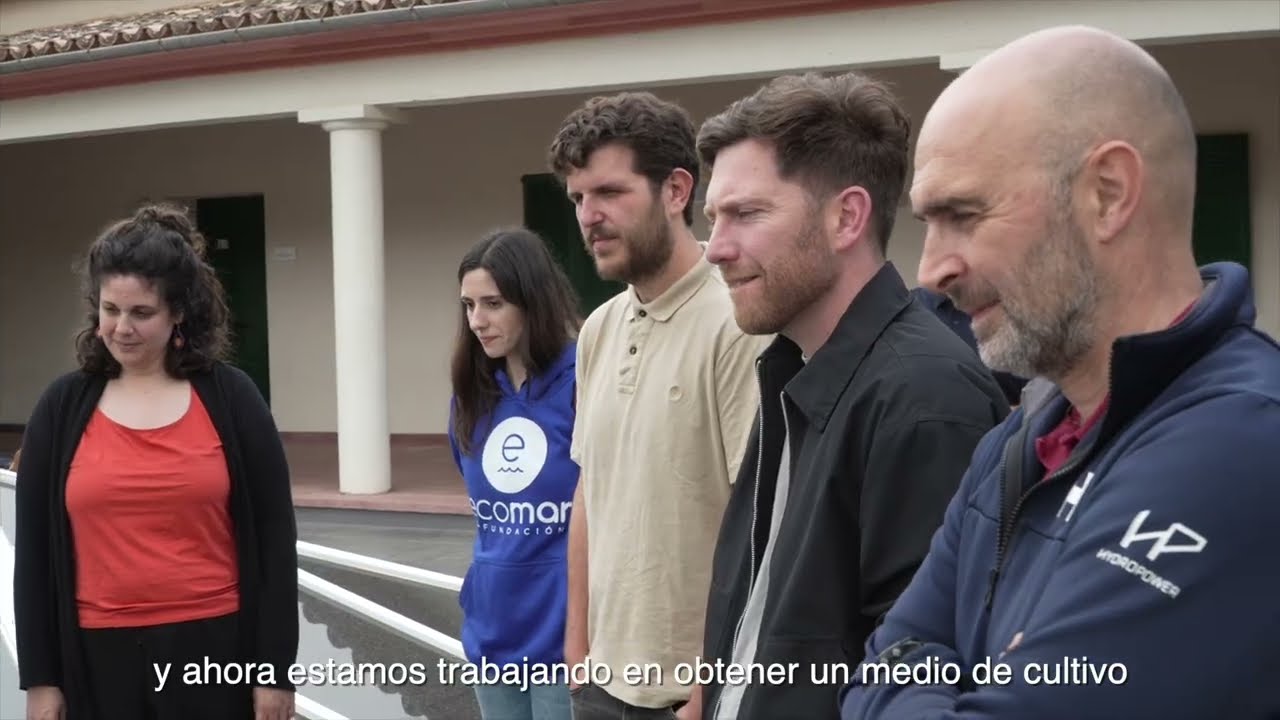 Acción Posidonia | Resumen del proyecto