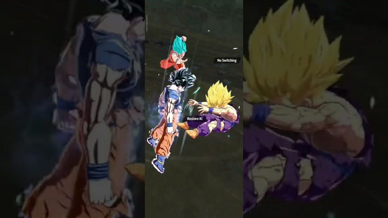 BRO SSJ4 GOKU AND UI GOKU COOKING THIS 