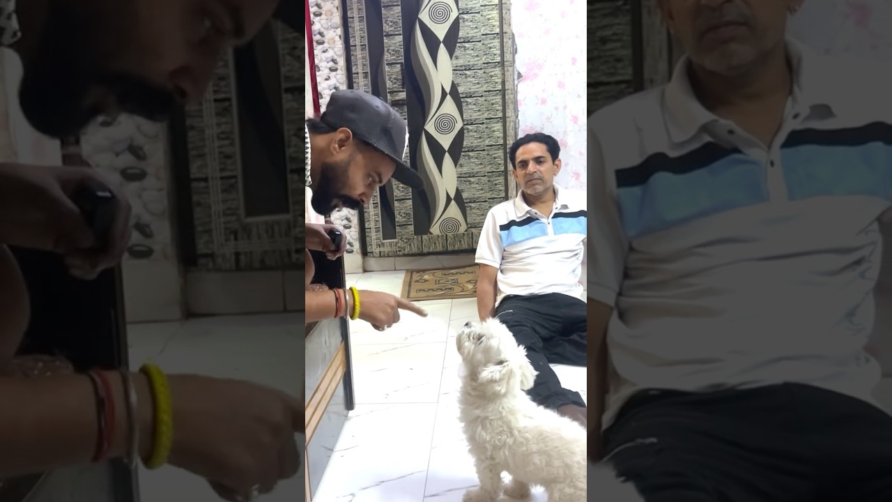 Who can understand this conversation #deepaktilli #comedy #funny
