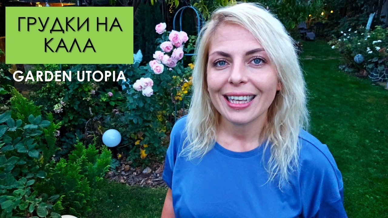 Съхранение на ГРУДКИ КАЛА