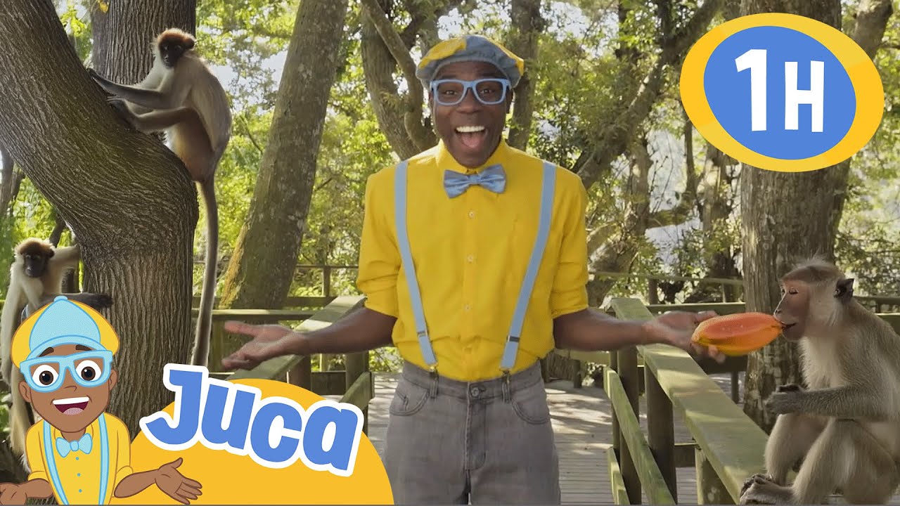 Juca faz amiguinhos e descobre novas frutas 😲🍊 HORA DO JUCA BRASIL! | Vídeos Educativos