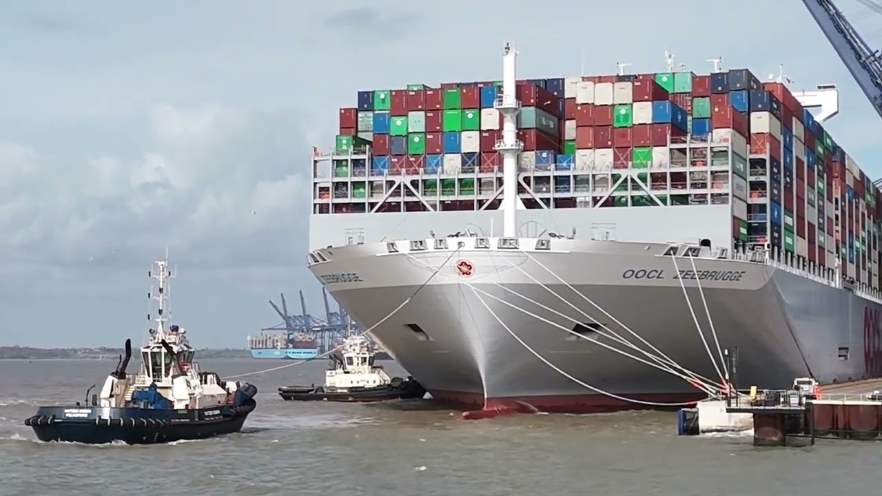 Berthing OOCL ZEEBRUGGE to port side #ship #containership #largestship #marinelife #port #trending
