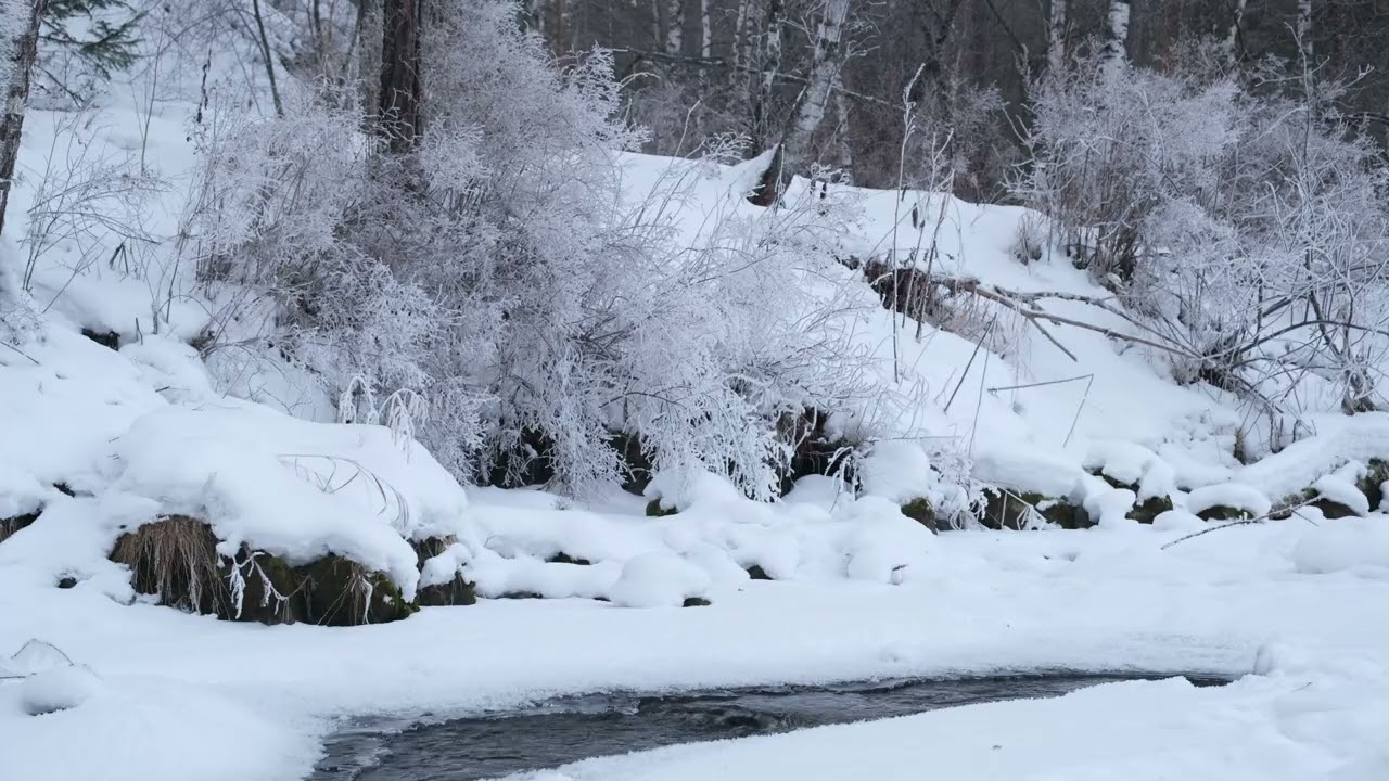 Winter River Stream Sounds in the Forest — Nature Sounds for Sleep, Relaxation