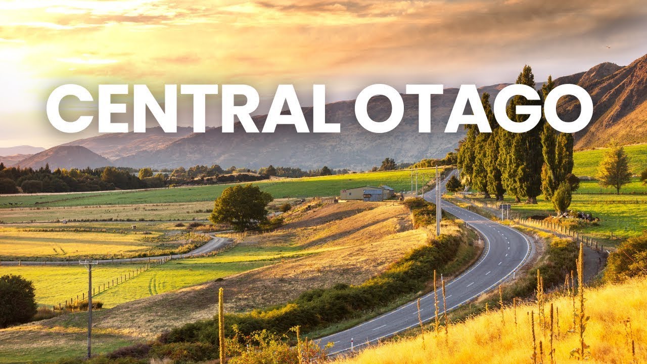 The Scenic Route: Dunedin to Queenstown Road Trip Highlights