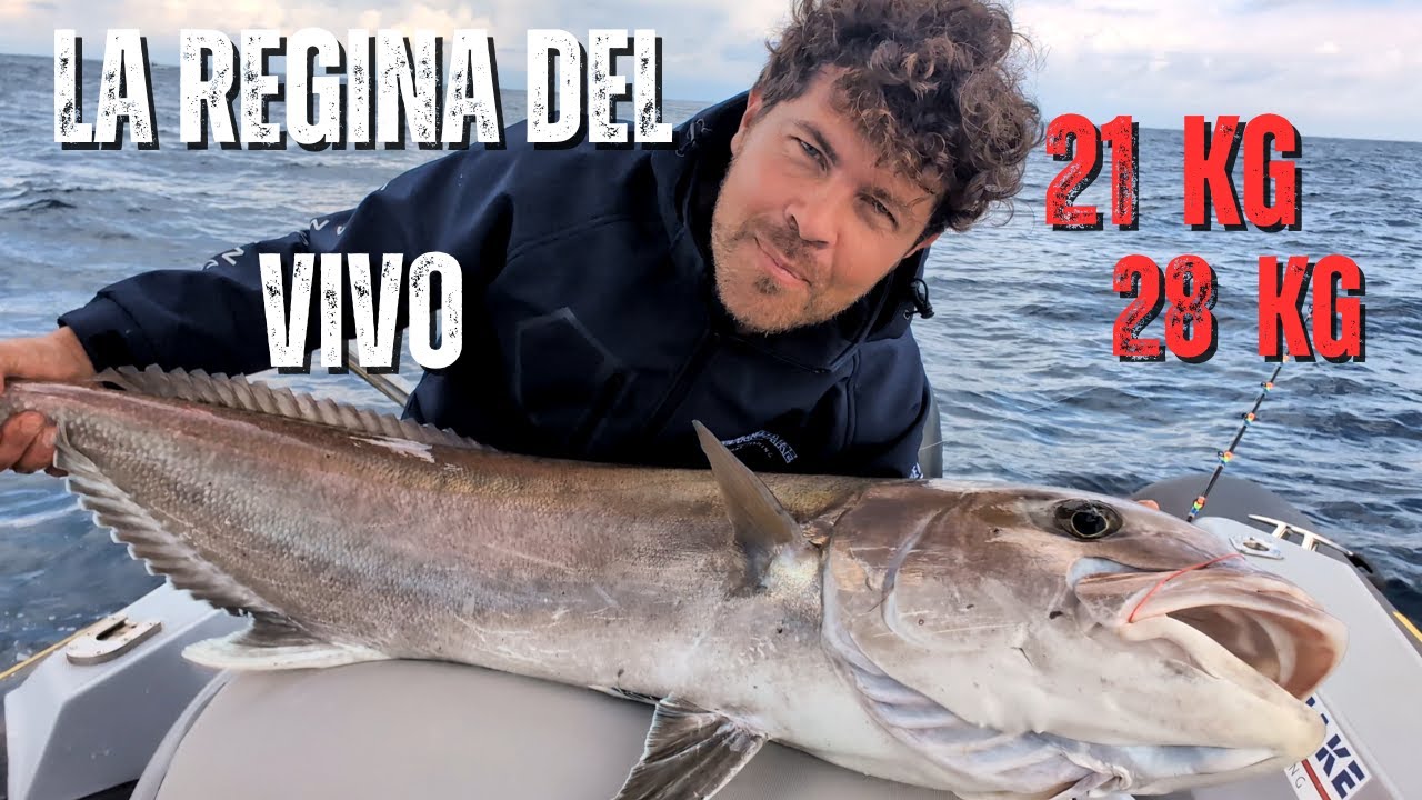 Due grosse RICCIOLE in due giorni! Catture INTEGRALI