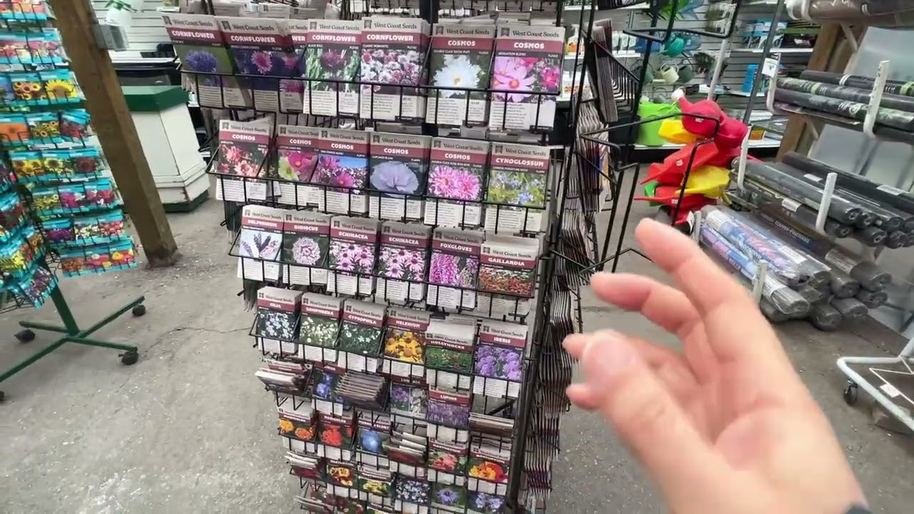 二月花店：看看种子