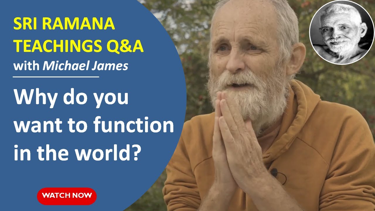 How do we function in the world?