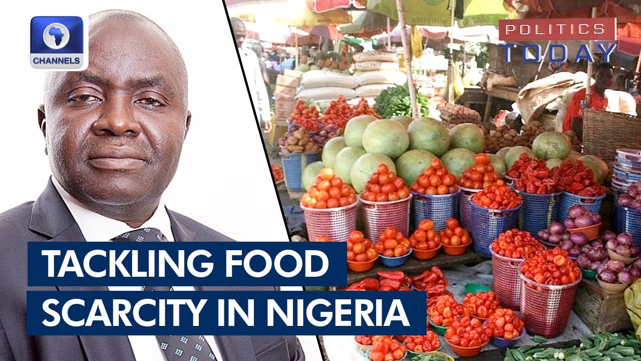 How Nigeria Can Deal With Food Scarcity – Economist | Politics Today