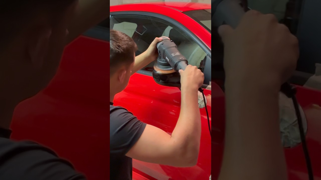 Co working with the boss 🐶 #detail #cardetail #paintcorrection #ceramiccoating #detailer