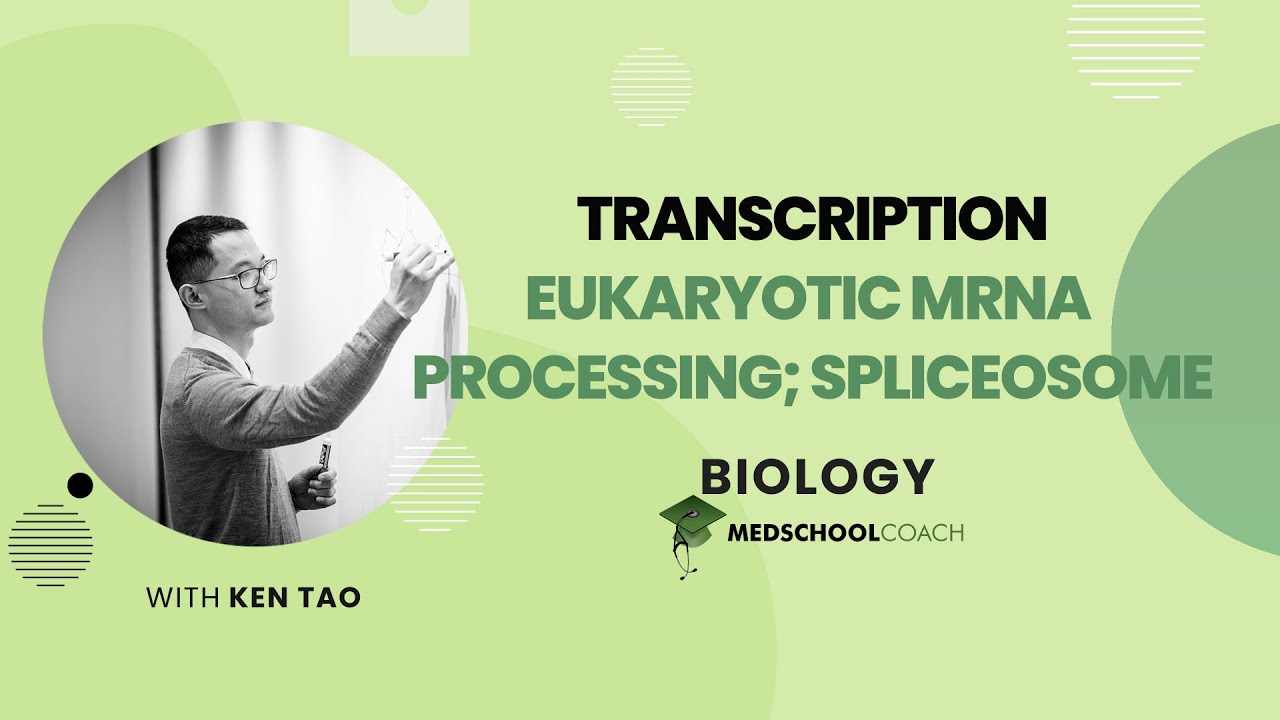 Eukaryotic mRNA Processing; Spliceosome