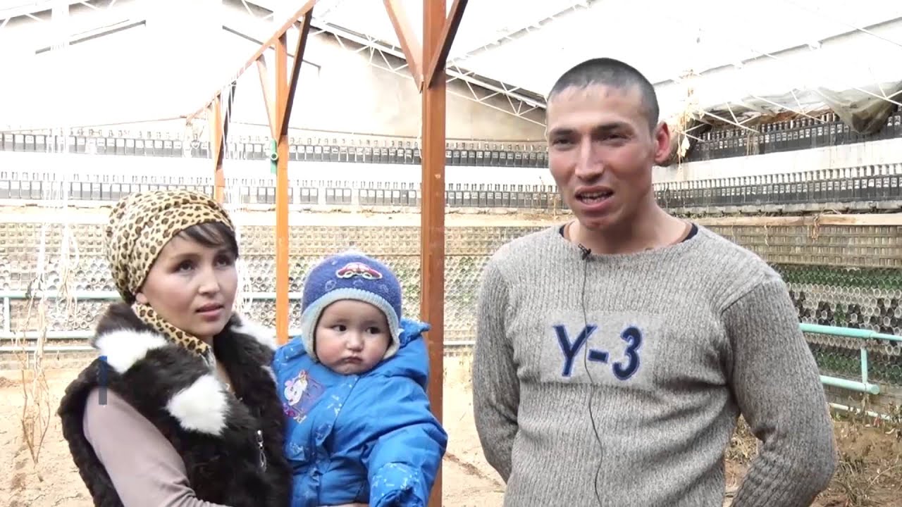 Базар-Коргондо бөтөлкөдөн күнөскана курулду