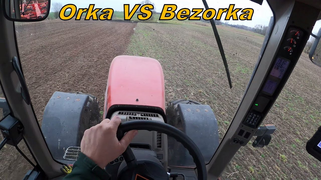 Orka vs Bezorka -  Koniec Sezonu 2025