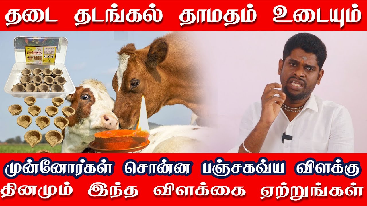 தடை தடங்கல் தாமதம் உடையும் | கைமேல் பலன் தரும் பஞ்சகவ்ய விளக்கு | வீட்டில் ஏற்றும் பஞ்சகவ்ய விளக்கு