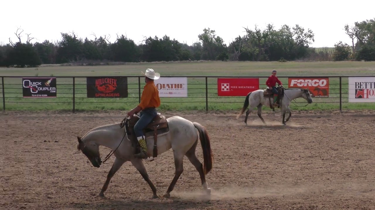 Breaking at the Withers -- S14E1