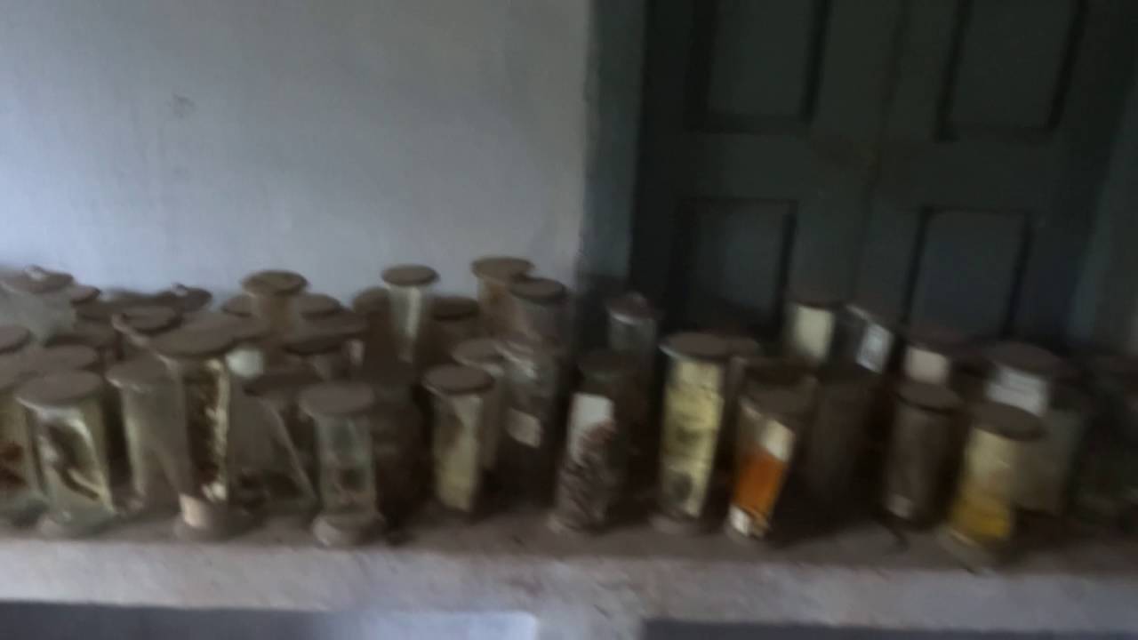 Kendriya Vidyalaya FCI Ramagundam school