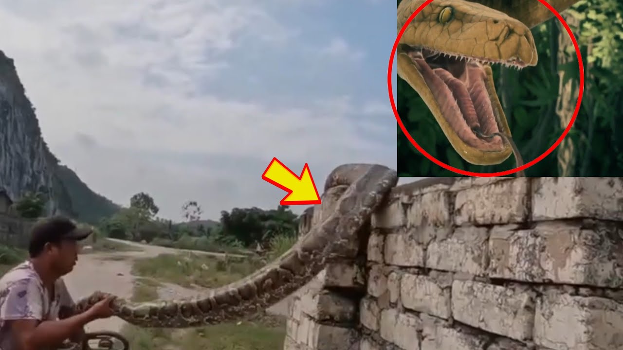 tout le monde doit regarder cette vidéo