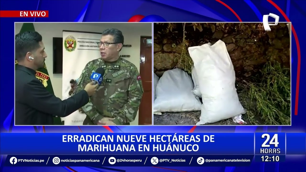 Dirandro destruye megalaboratorios de droga en Loreto