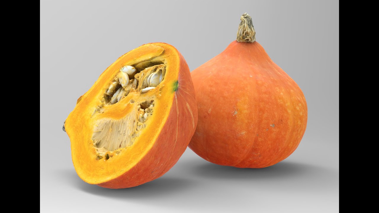 Cucurbita