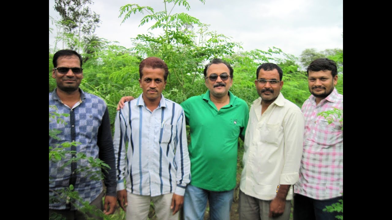Moringa/Drumstick farm visit in Bhopal district,Madhya Pradesh,India.