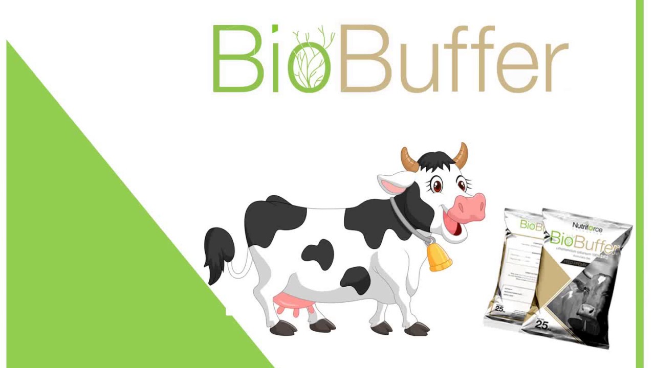BIOBUFFER, for Rumen Acidosis