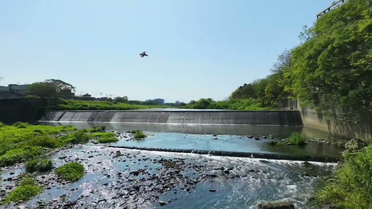 桃園、高鐵區空2026.03.18#DJI Neo2