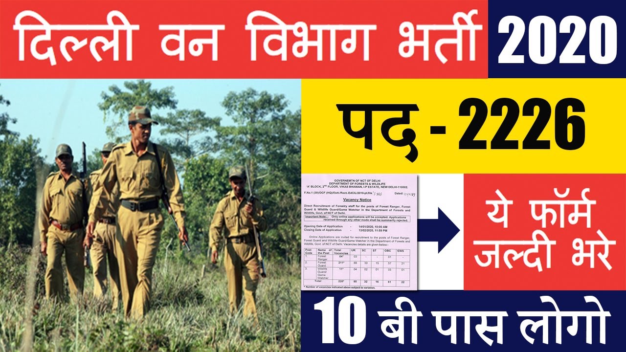 Delhi Forest Guard Recruitment 2020 | Government Forest and Wildlife Jobs in Delhi