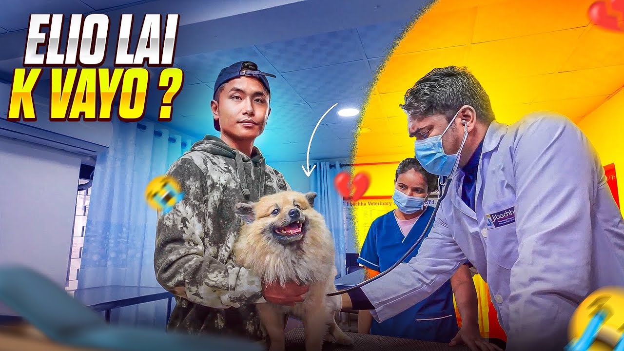 &ldquo;Elio Is Not Feeling Well Today&hellip; 😢 Vet Visit Vlog&rdquo;