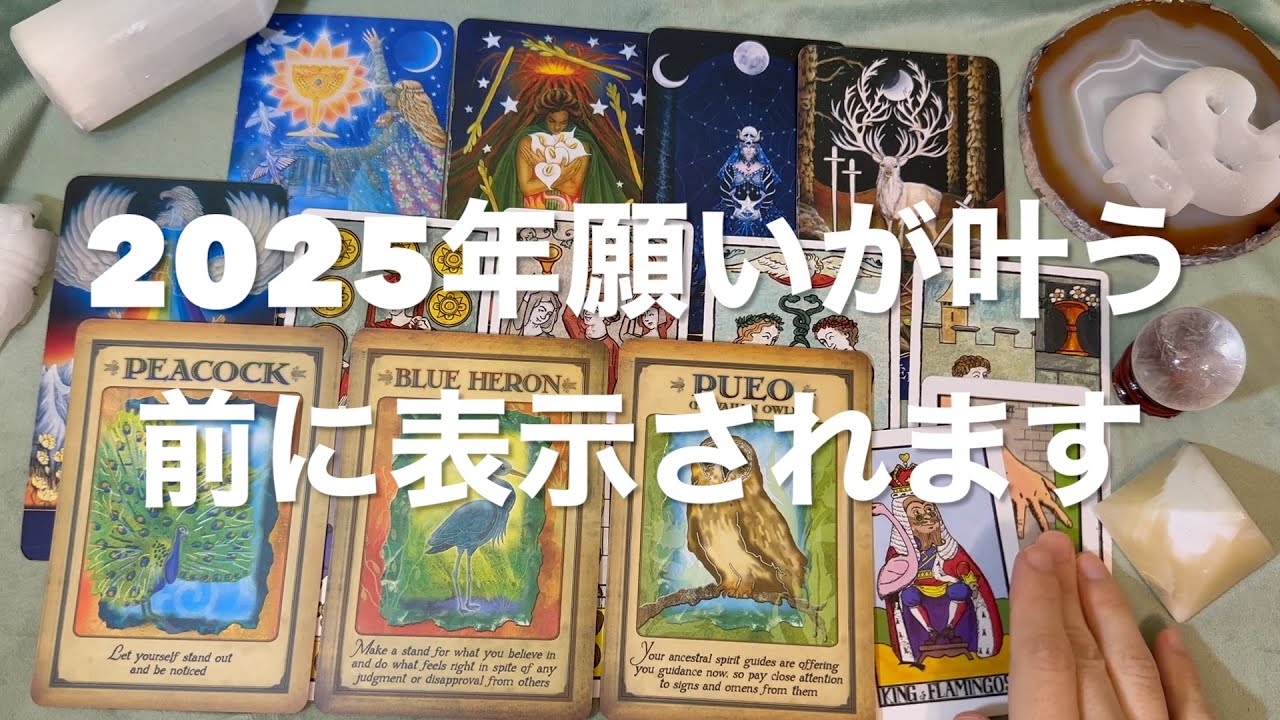 2025年内に願いが叶う前に表示される動画