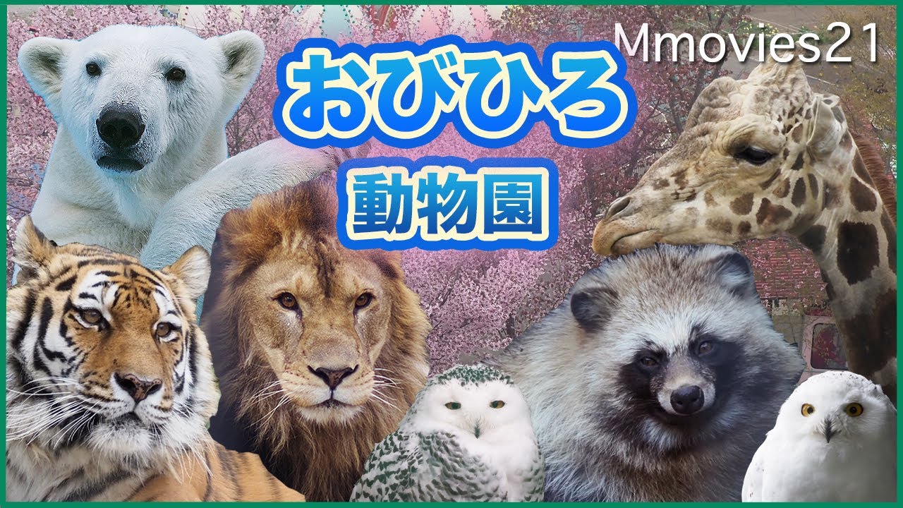 【おでかけおびひろ動物園】ぐるり一周〜ホッキョクグマが詰め込みたくなる場所って？