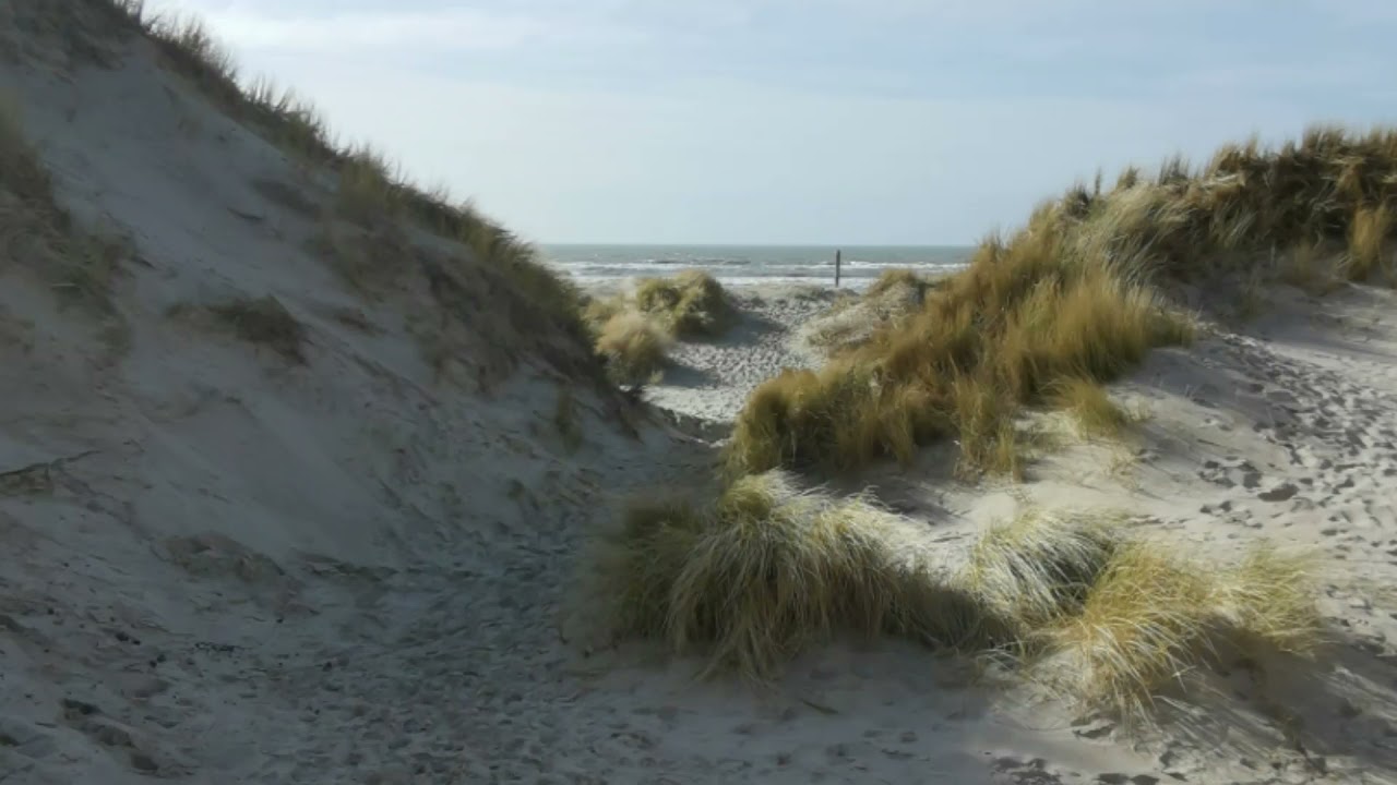 Wanderung durch die Schoorlse Duinen