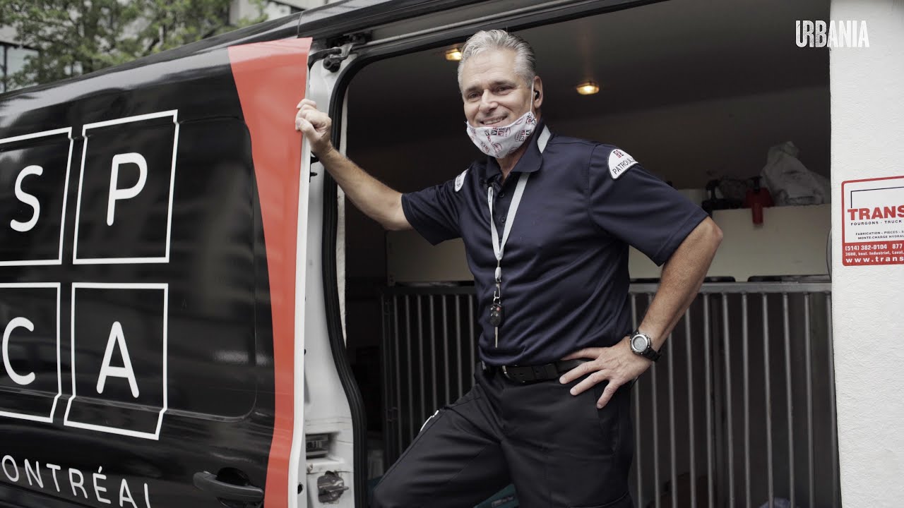 Daniel, patrouilleur SPCA à la rescousse des animaux | Reportage