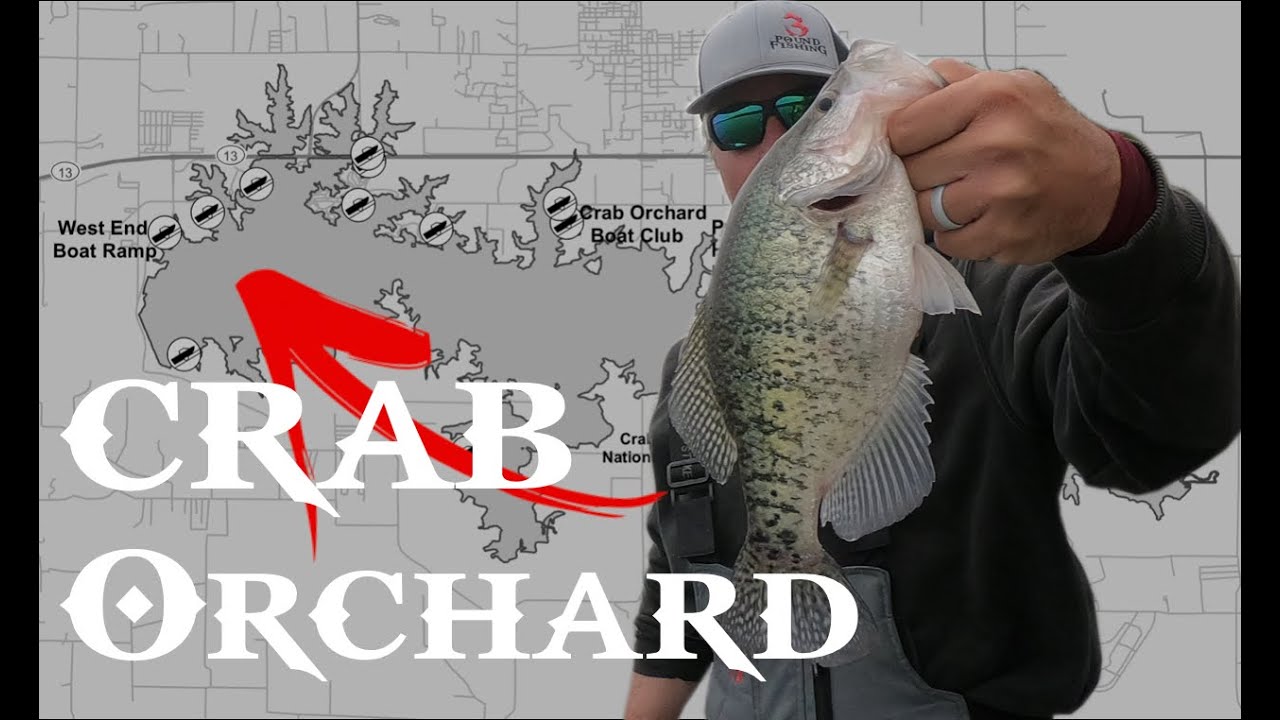 Crappie Fishing SHALLOW at Crab Orchard