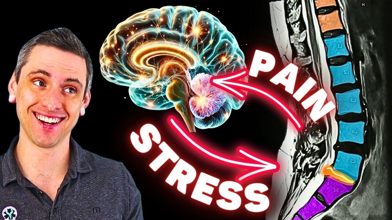 Настоящая ПЕРВОПРИЧИНА хронической боли в спине (ч. 7) — вызывают ли стресс или тревога хроническ...