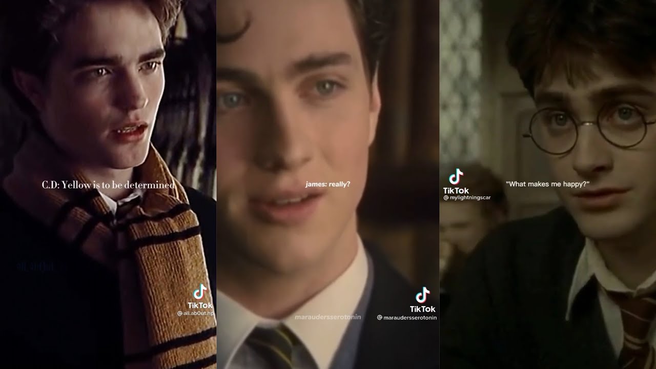 Harry Potter Boys x Y/N Tiktok Pov