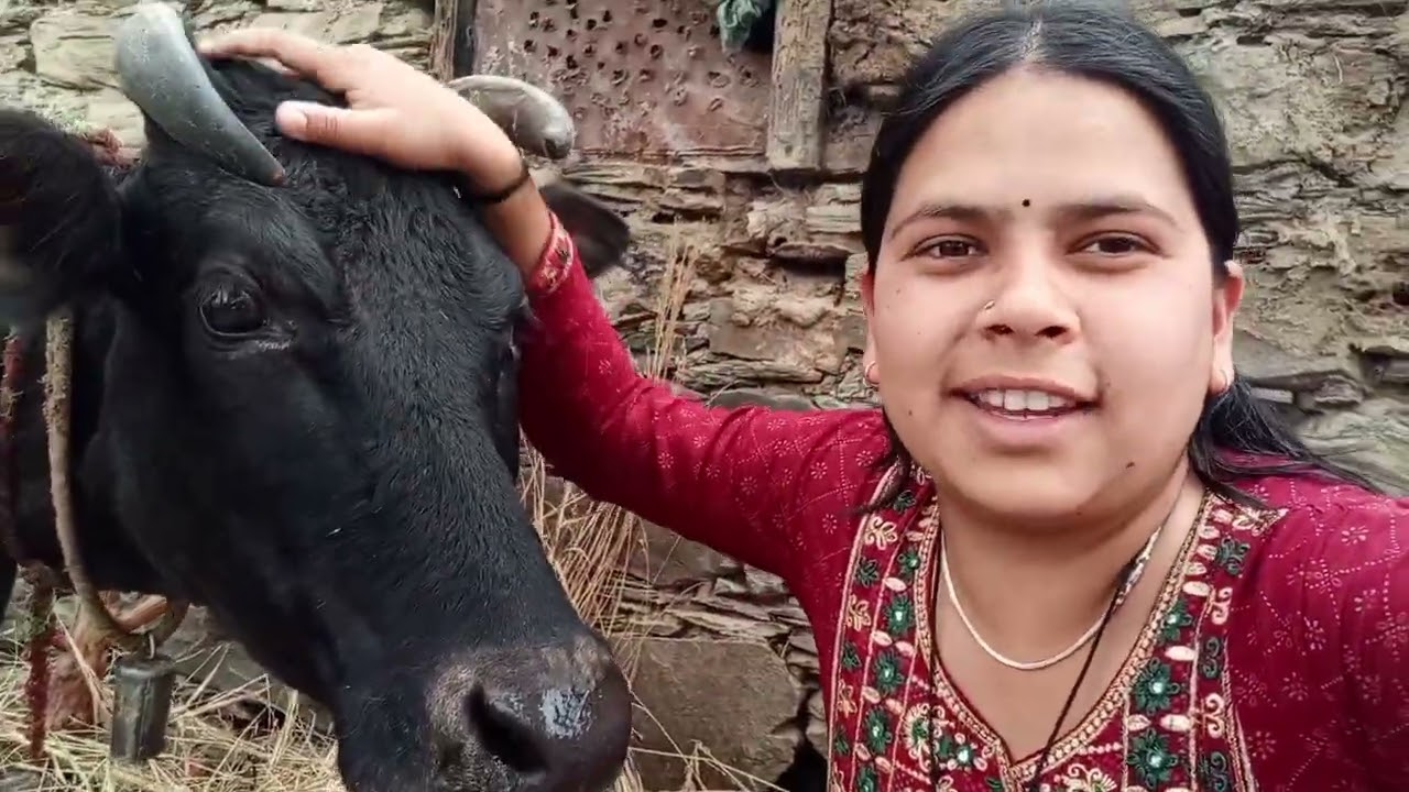 गड़वाली ब्लॉग (🥝 कीवी फार्म 🥝)