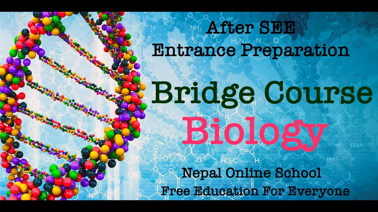 Biology Important MCQ Part 1| Entrance Preparation for Class 11 | Bridge Course for NEB in NEPALI