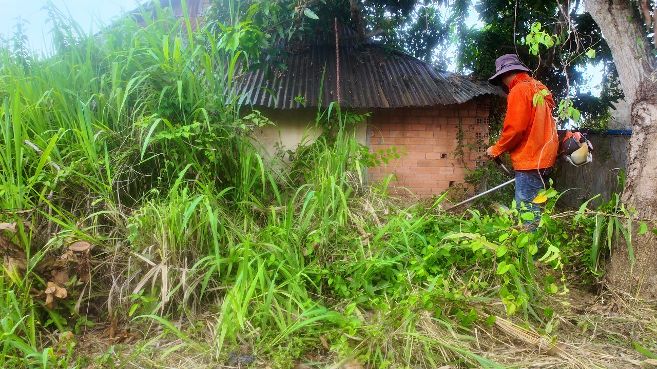 REVIVING a 30-YEAR-OLD DILAPIDATED House for a STRUGGLING FAMILY