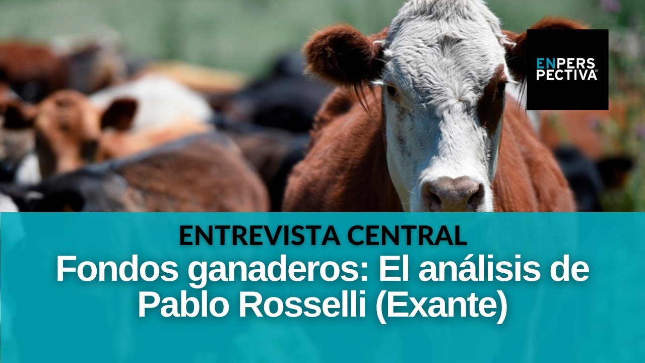 Fondos ganaderos: Qué pasó, cómo operaban, cómo se dieron pérdidas millonarias y el rol del BCU