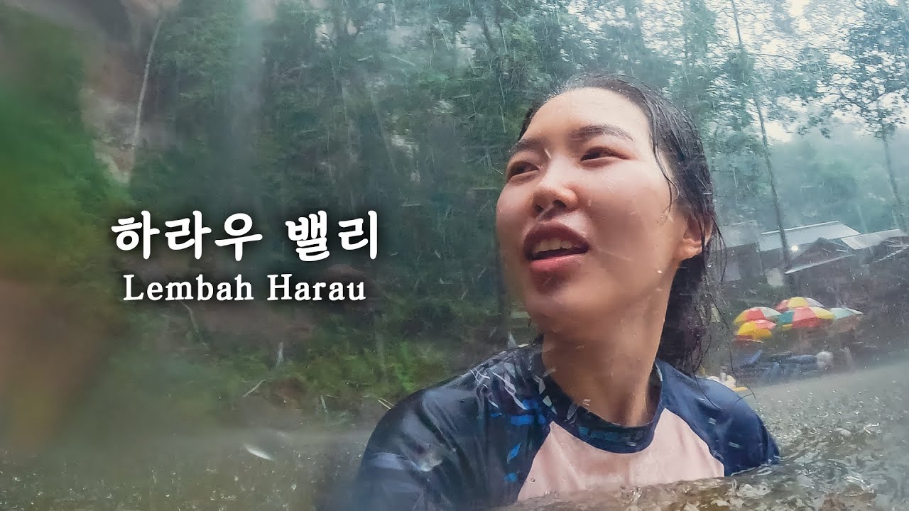 모든 게 완벽했다, 스콜에 처맞기 전까지는∥🇮🇩인도네시아 하라우1