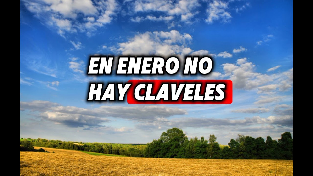 Pedro Yerena _ claveles de enero ( karaoke)