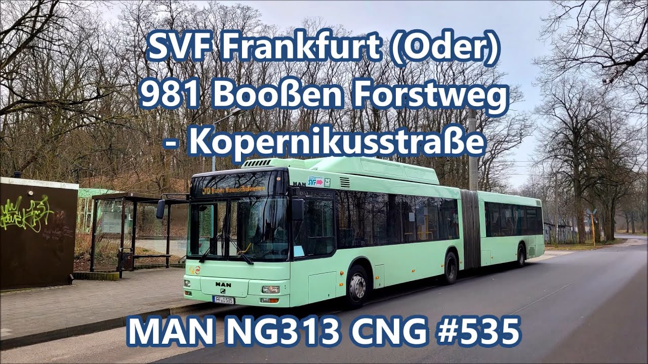 SVF Frankfurt (Oder) - MAN NG313 CNG #535, Linie 981