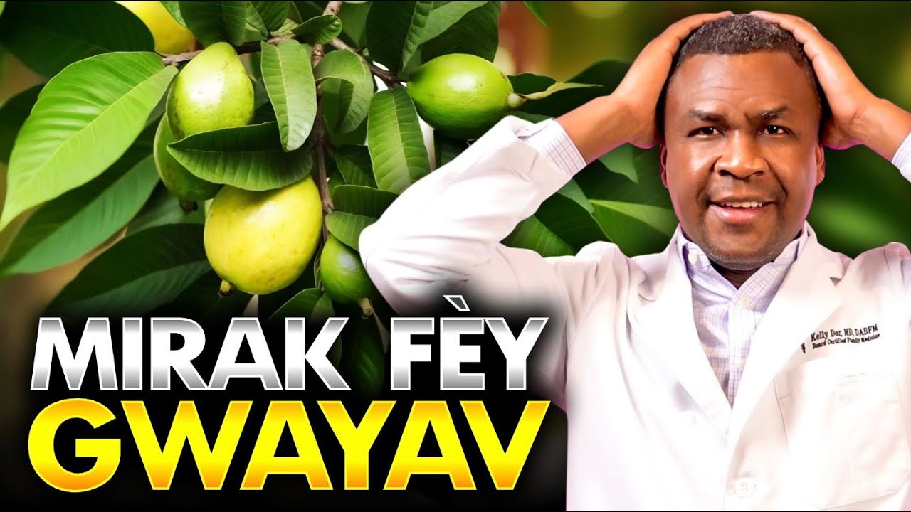 Tout Jan Gwayav Ap Ede Sante W.