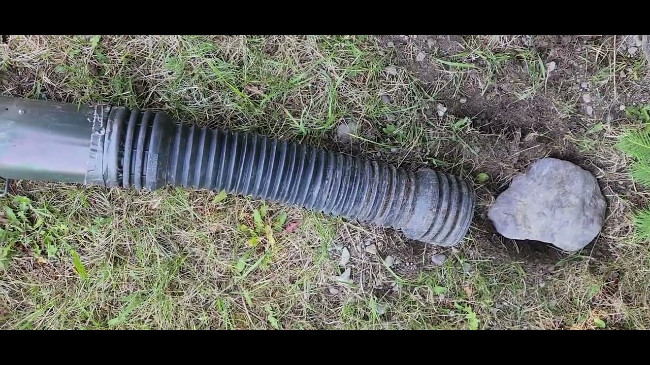 How to Trap and Get Rid of Ground Squirrels