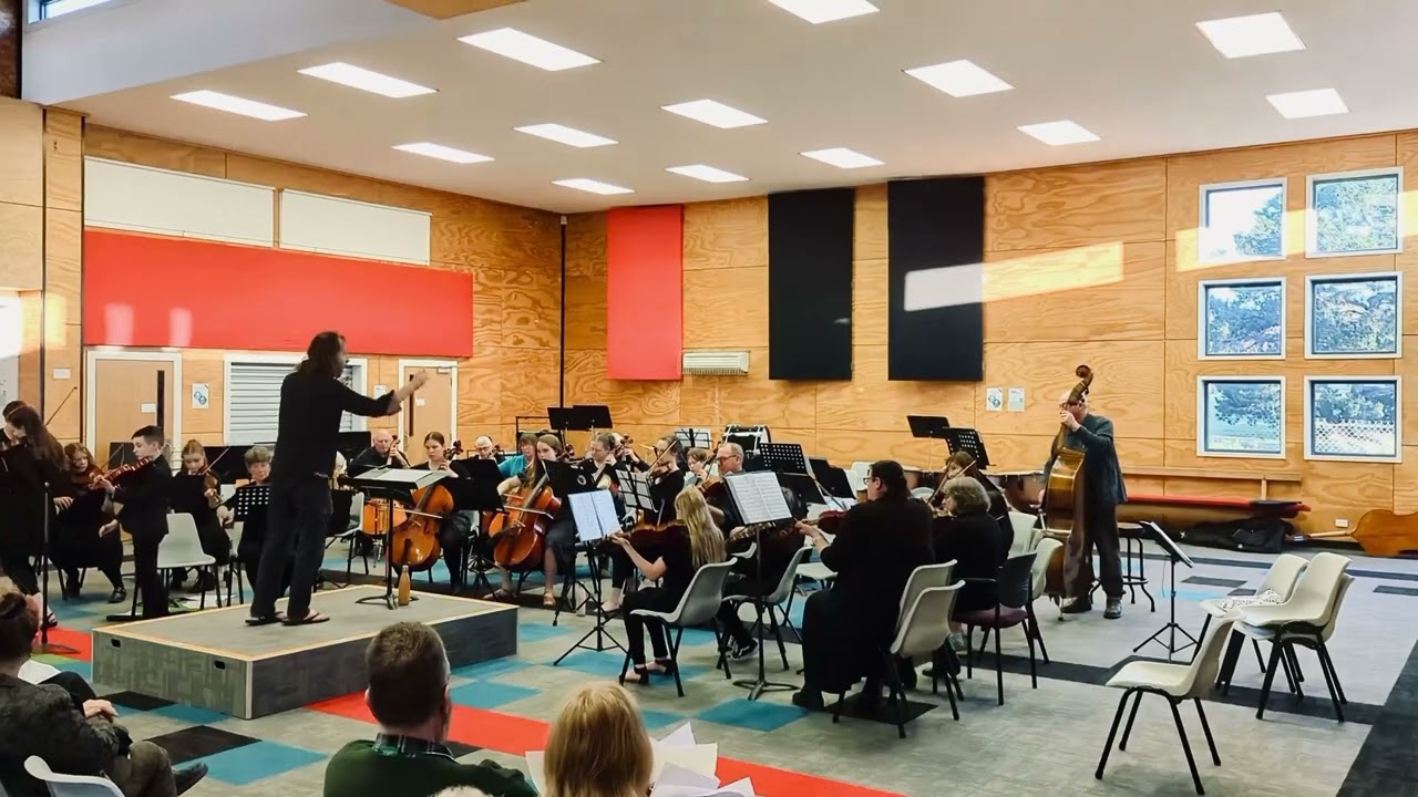 Seizt Violin Concerto No.5 I Allegro Moderato
