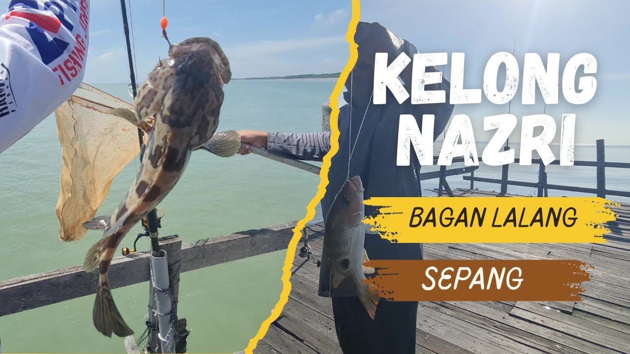 KELONG NAZRI BAGAN LALANG SEPANG