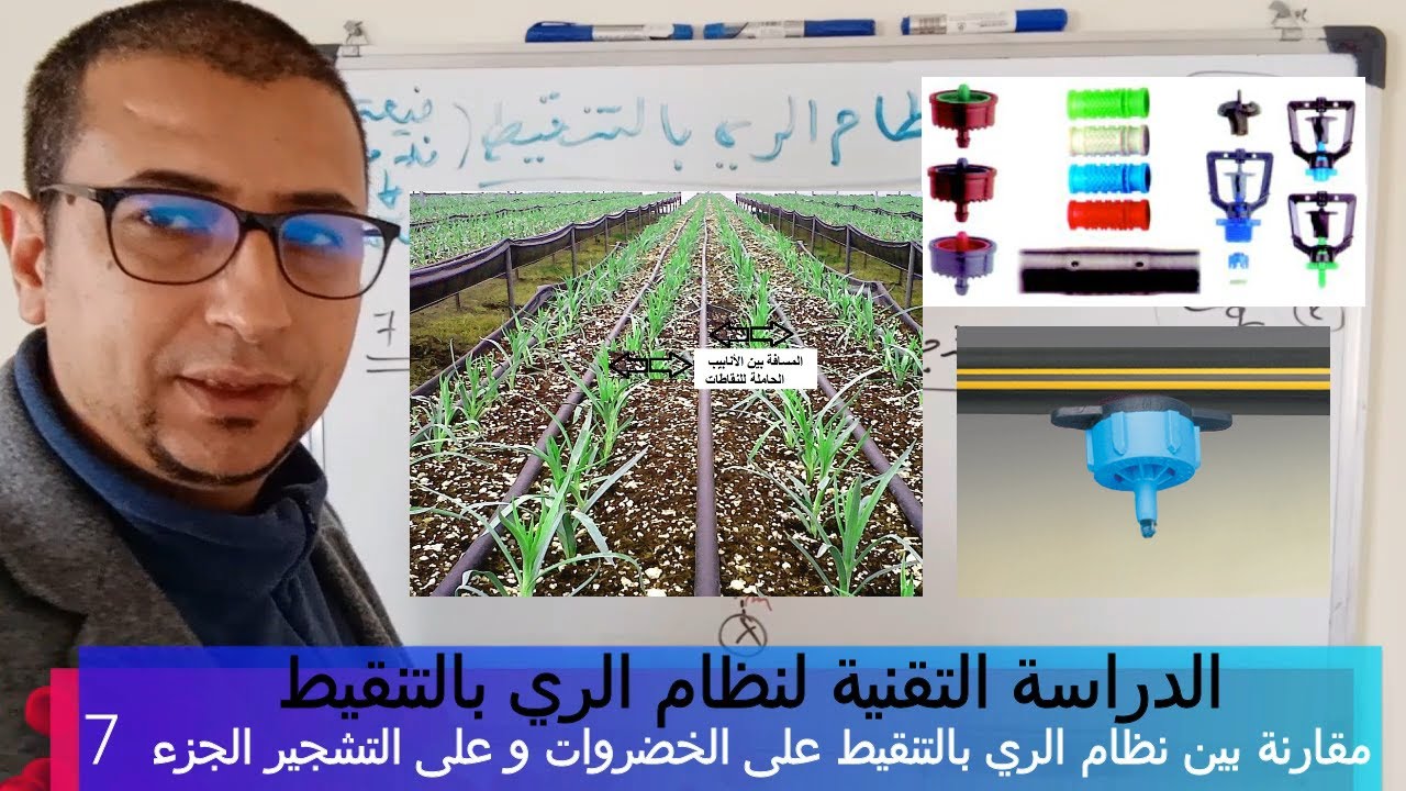 الدراسة التقنية لنظام الري الموضعي- مقارنة بين الخضروات و التشجير في نظام الري بالتنقيط- الجزء 7