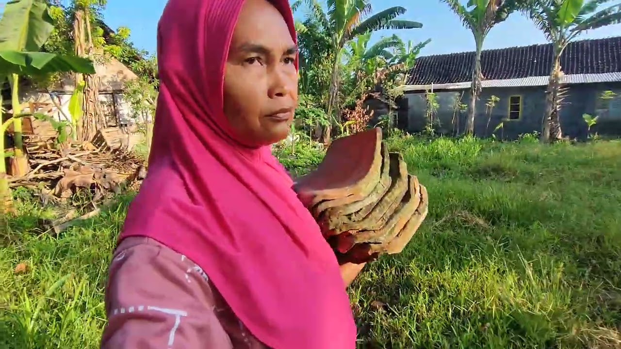 nebang jati mburi omah bahaya lek ngruboi omae tanggane totalan