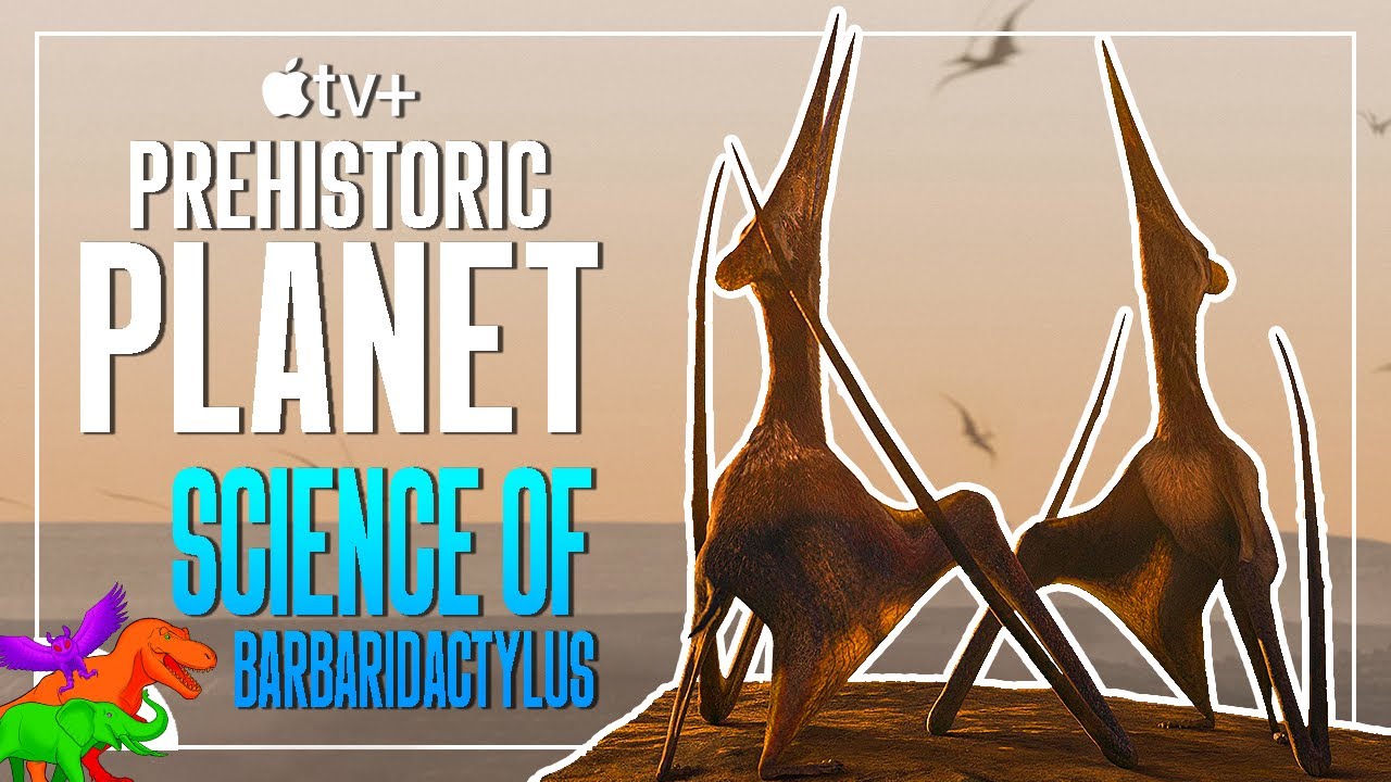 What Kind Of Courtship Did Pterosaurs Have? | Barbaridactylus | Prehistoric Planet Profiles
