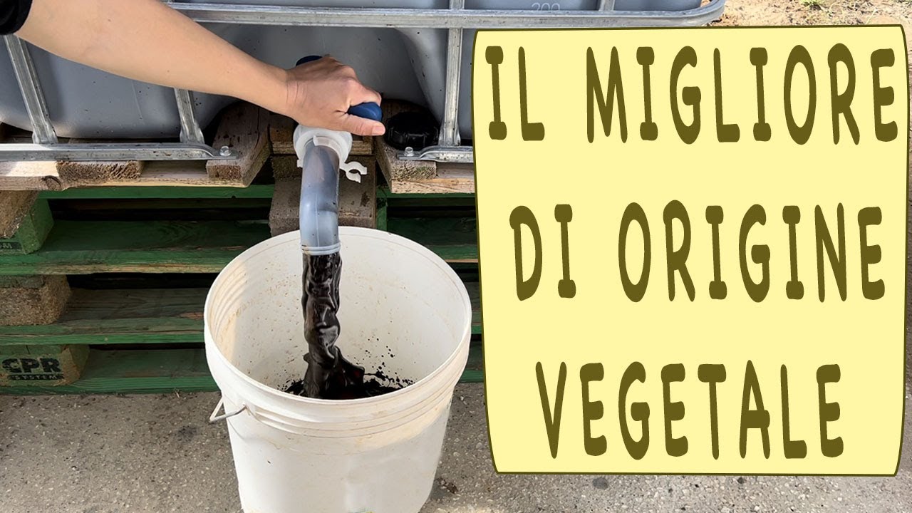 BORLANDA FLUIDA - il miglior concime per orto